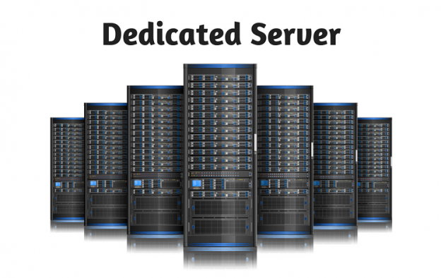 Why Your Business Needs Dedicated Web Hosting!