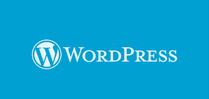 WordPress beginner tips