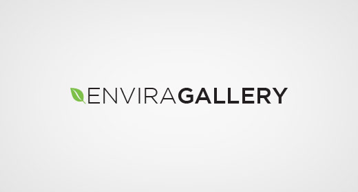 Enviragallery