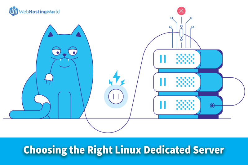 Choosing the Right Linux Dedicated Server: 6 Pointers to Keep in Mind