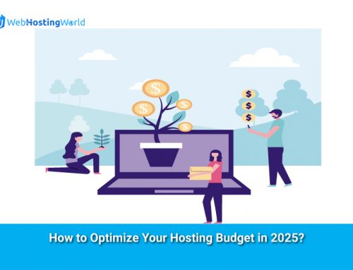 How to Optimize Your Hosting Budget in 2025?